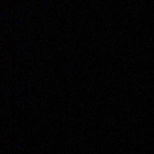 Meet your Posher, Chanel